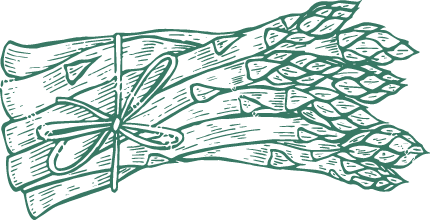 Asparagus