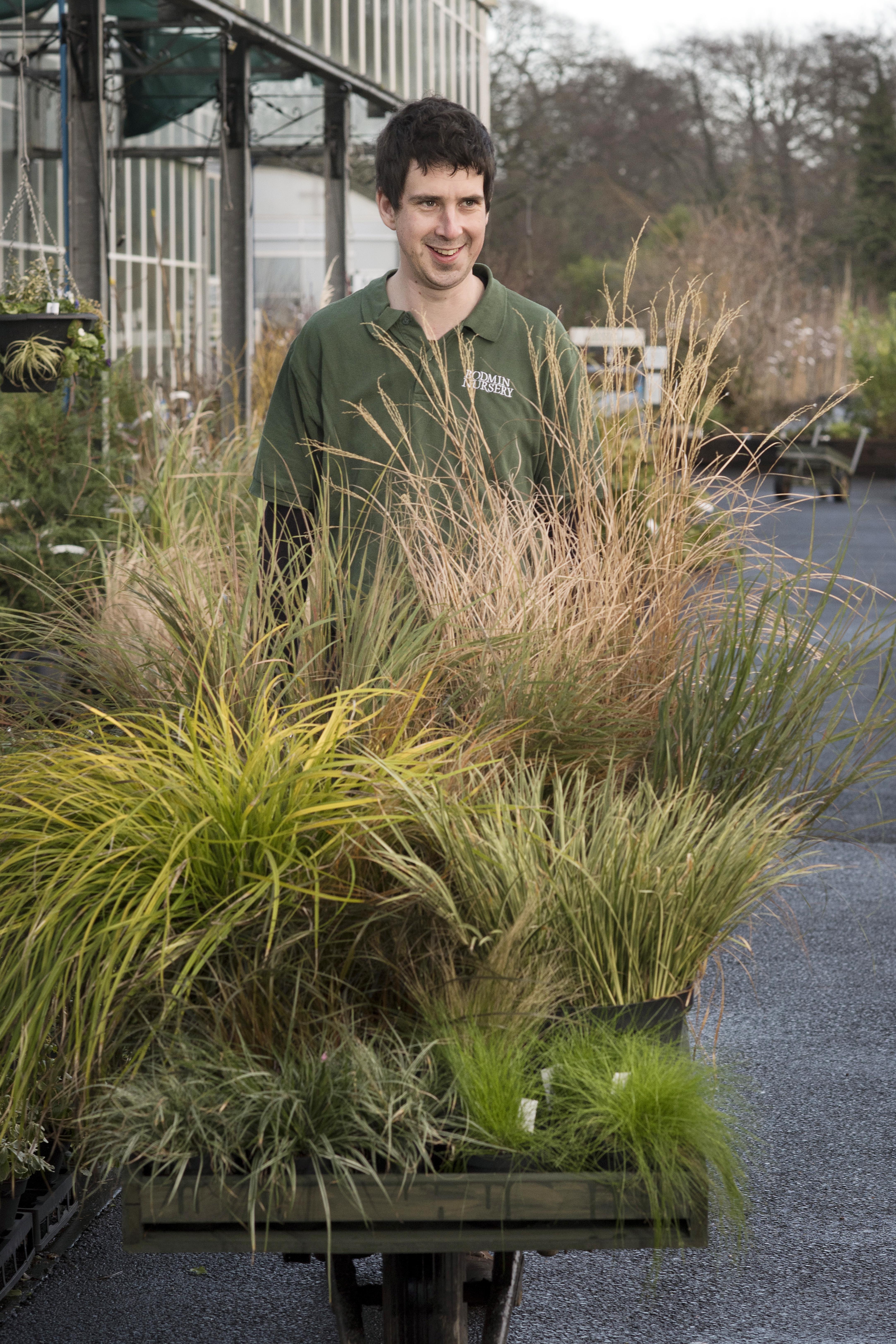 ANDREW GRASSES (1)
