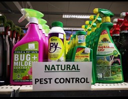 PEST CONTROL