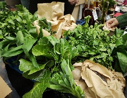 SALAD