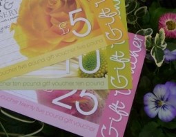 GIFT VOUCHERS (1)