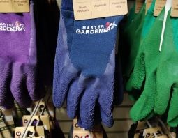 GLOVES