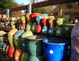 COLOURED POTS