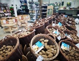 POTATOES IN BASKETS WEB